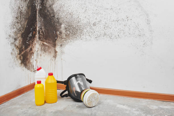 Best Industrial Mold Remediation in Unionville, GA
