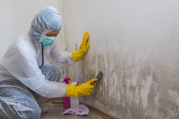 Best Crawl Space Mold Remediation in Unionville, GA