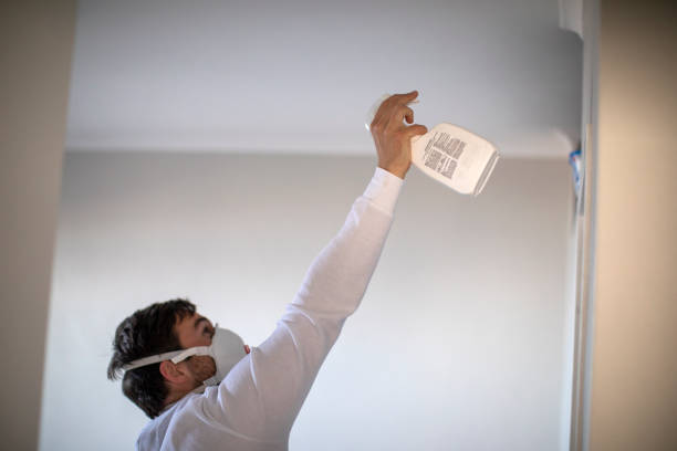 Best Preventive Mold Services in Unionville, GA